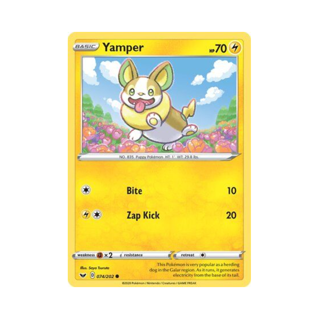 포켓몬 TCG 멍파치 C 소드 & 실드 (영문판)(Pokemon TCG Yamper C Sword & Shield (English Ver.)) - 1