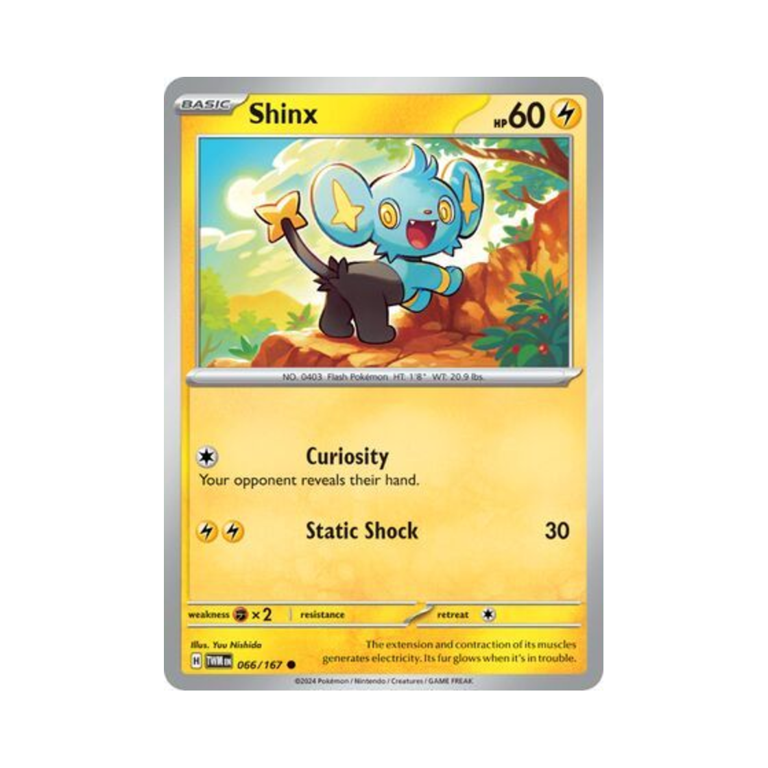 포켓몬 TCG 꼬링크 C 트와일라잇 마스커레이드 (영문판)(Pokemon TCG Shinx C Twilight Masquerade (English Ver.)) - 1