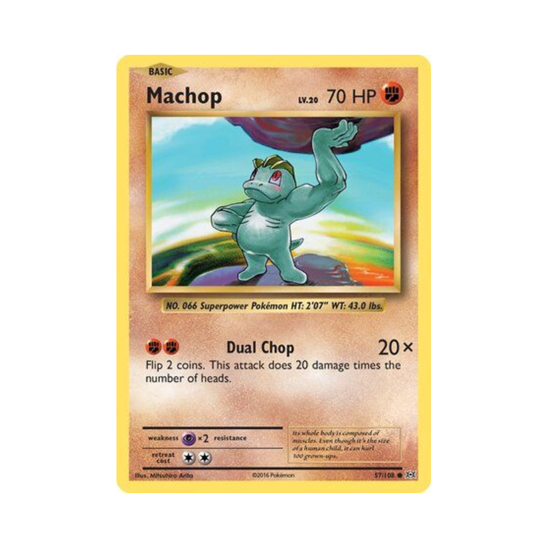 포켓몬 TCG 알통몬 C 에볼루션즈 (영문판)(Pokemon TCG Machop C Evolutions (English Ver.)) - 1