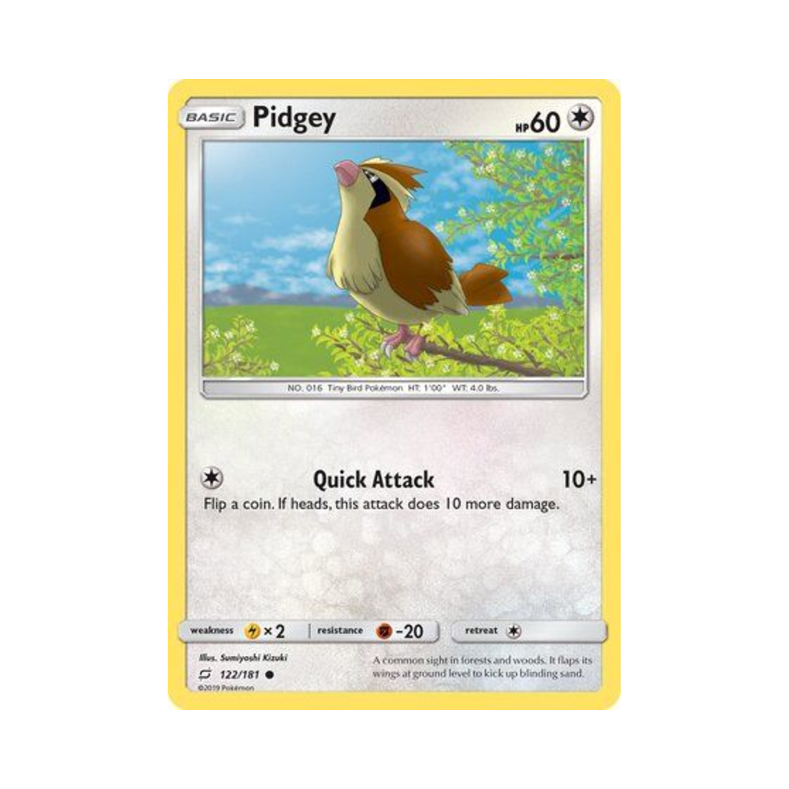 포켓몬 TCG 구구 C 팀업 (영문판)(Pokemon TCG Pidgey C Team Up (English Ver.)) - 1