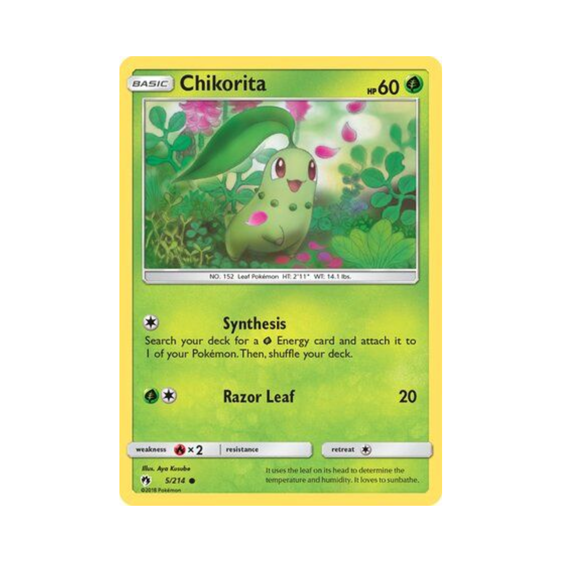 포켓몬 TCG 치코리타 C 로스트 썬더 (영문판)(Pokemon TCG Chikorita C Lost Thunder (English Ver.)) - 1