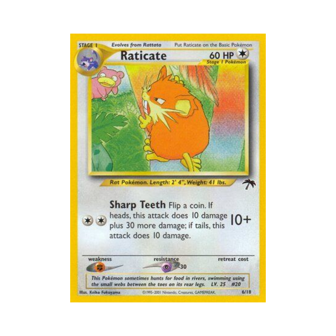 포켓몬 TCG 레트라 서던 아일랜드 (영문판)(Pokemon TCG Raticate Southern Islands (English Ver.)) - 1