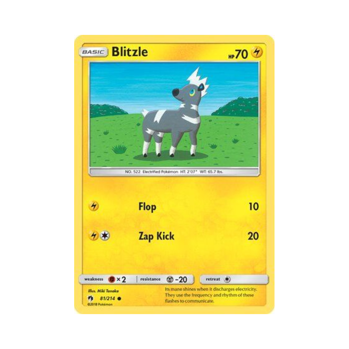 포켓몬 TCG 줄뮤마 C 로스트 썬더 (영문판)(Pokemon TCG Blitzle C Lost Thunder (English Ver.))
