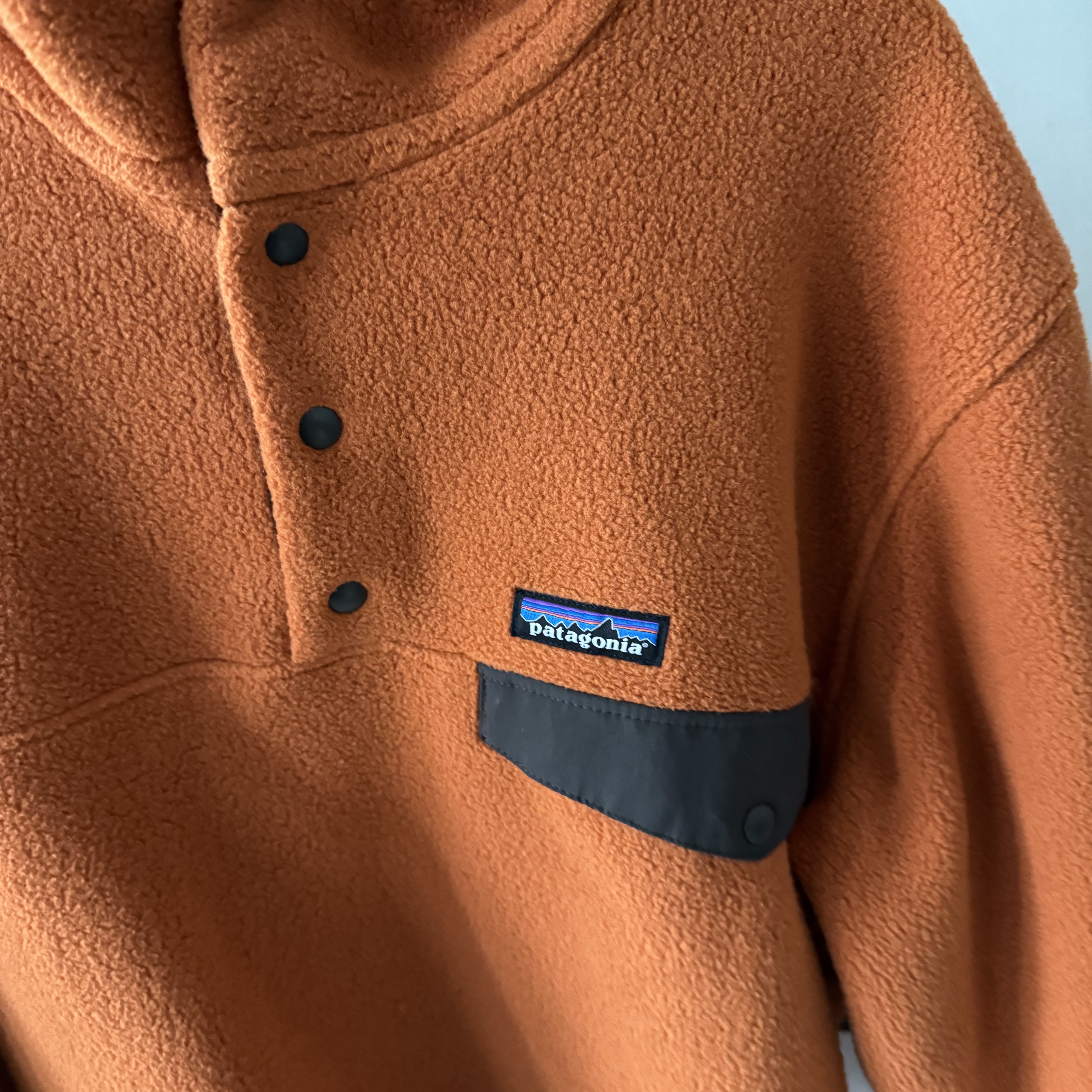 Patagonia Lightweight Synchilla Snap-T Fleece Pullover Redtail Rust 착용 스타일 - 2
