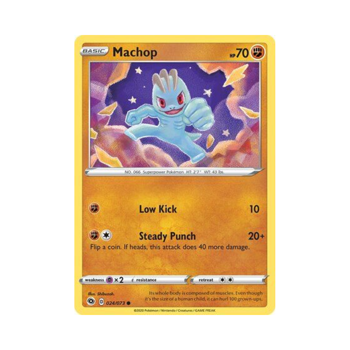 포켓몬 TCG 알통몬 C 챔피언스 패스 (영문판)(Pokemon TCG Machop C Champion's Path (English Ver.))