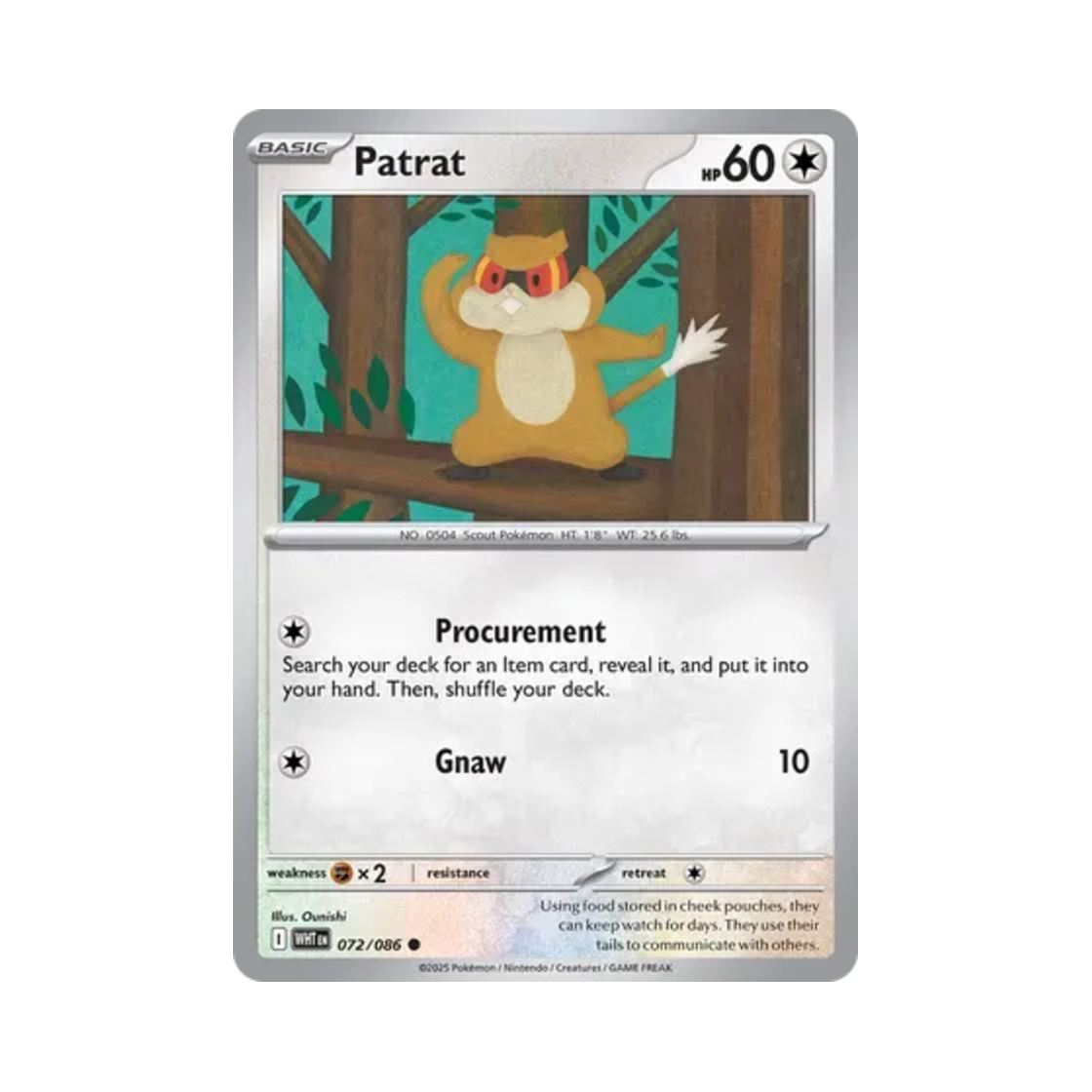 포켓몬 TCG 보르쥐 C 화이트플레어 (영문판)(Pokemon TCG Patrat C White Flare (English Ver.)) - 1