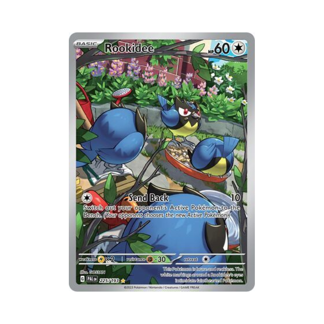포켓몬 TCG 파라꼬 IR 팔데아 이볼브드 (영문판)(Pokemon TCG Rookidee IR Paldea Evolved (English Ver.)) - 1