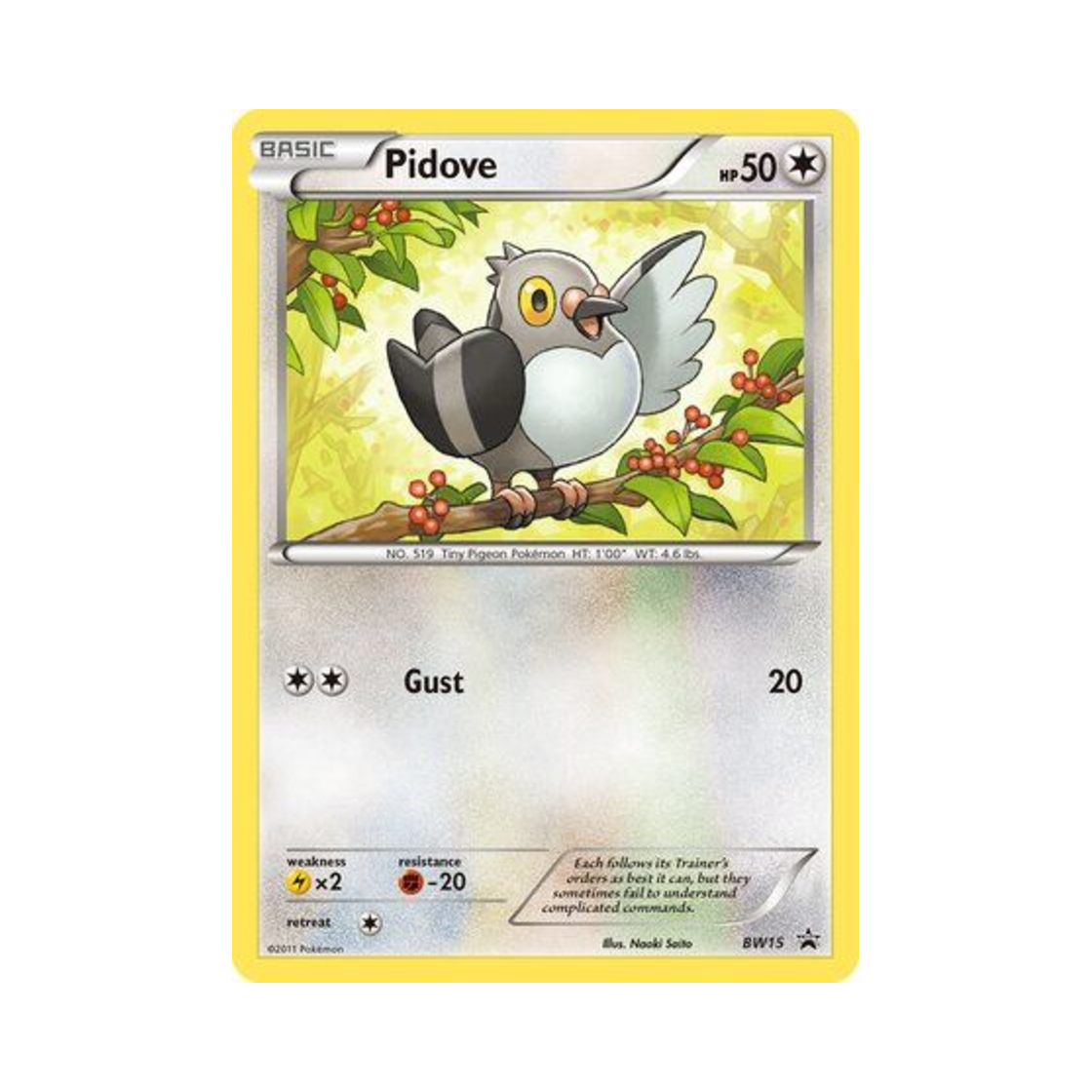 포켓몬 TCG 콩둘기 P 블랙 & 화이트 프로모카드 (영문판)(Pokemon TCG Pidove P Black & White Promos (English Ver.)) - 1