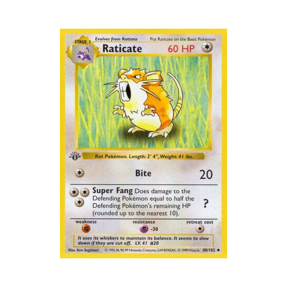 포켓몬 TCG 레트라 U 베이스 세트 (영문판)(Pokemon TCG Raticate U Base Set (English Ver.))