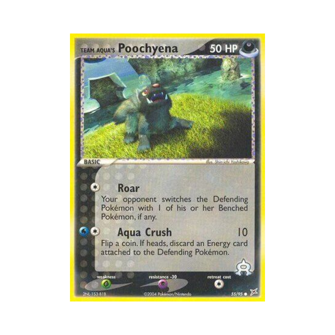 포켓몬 TCG 아쿠아단의 포챠나 C EX 마그마단 vs 아쿠아단 (영문판)(Pokemon TCG Team Aqua's Poochyena C EX Team Magma vs Team Aqua (English Ver.)) - 1