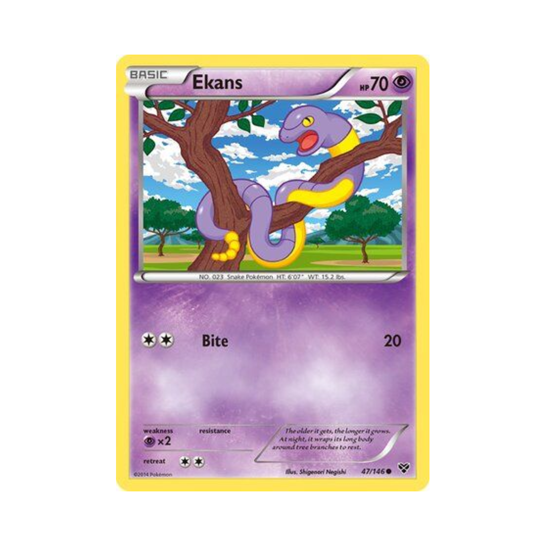 포켓몬 TCG 아보 C XY (영문판)(Pokemon TCG Ekans C XY (English Ver.)) - 1