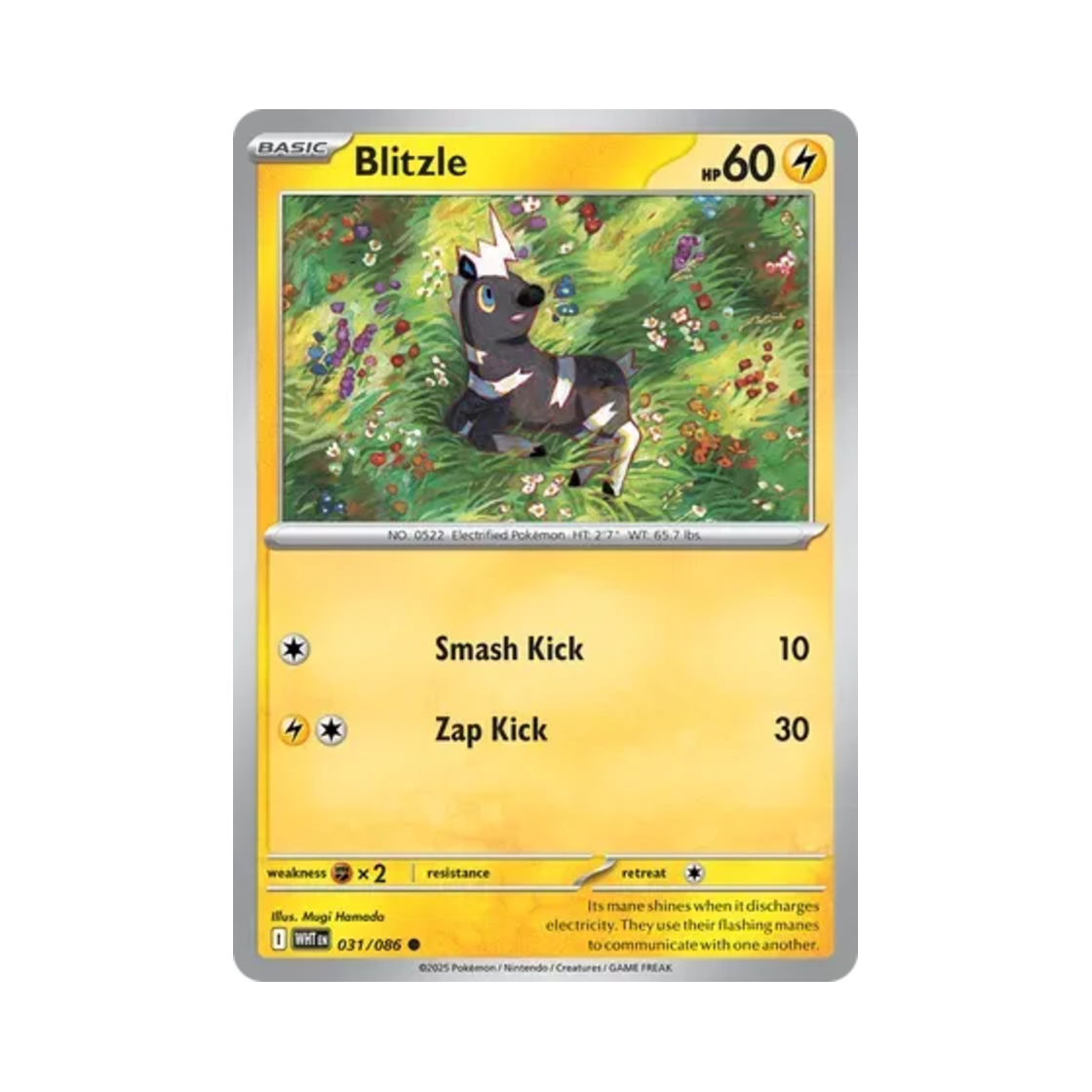 포켓몬 TCG 줄뮤마 C 화이트플레어 (영문판)(Pokemon TCG Blitzle C White Flare (English Ver.))