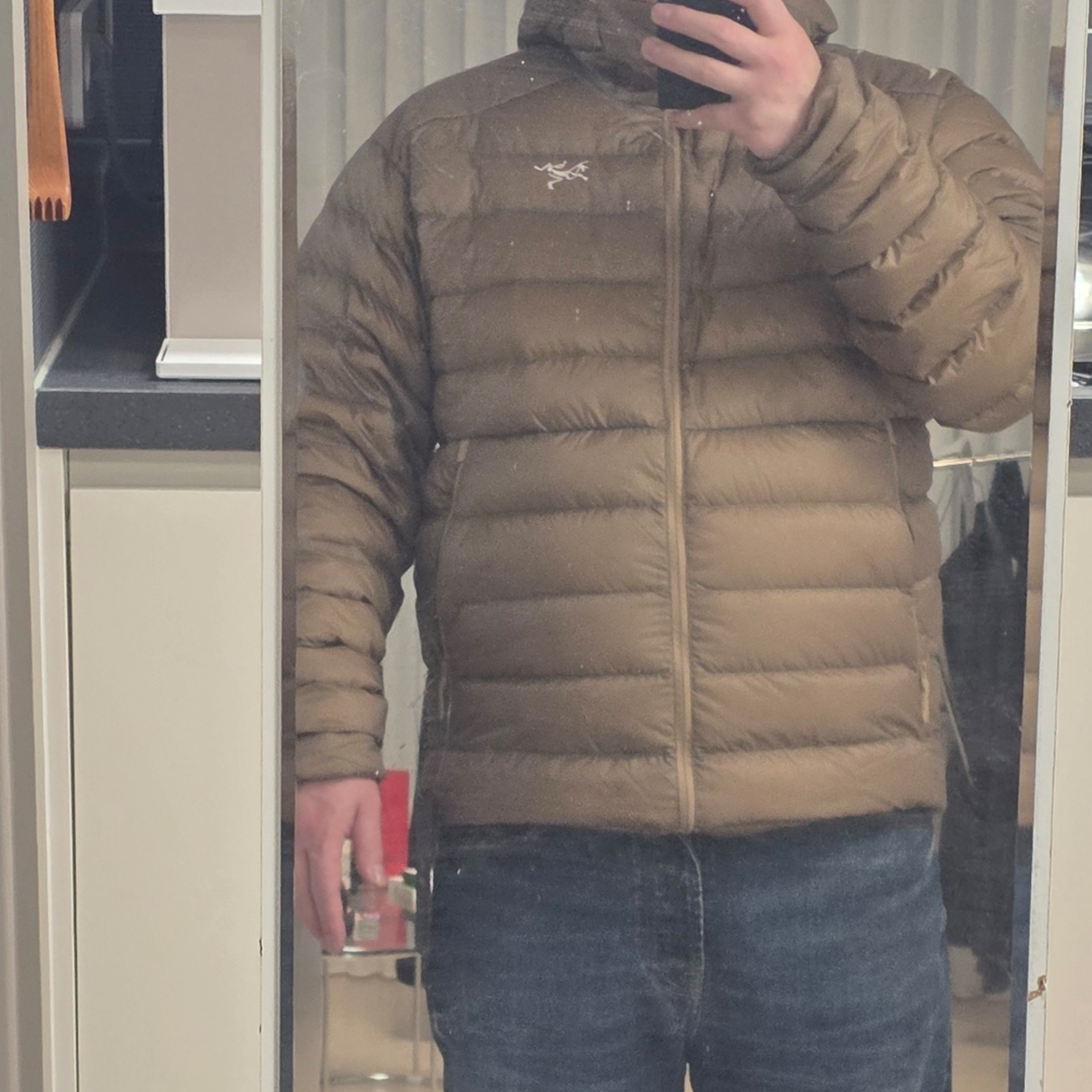 Arc'teryx Cerium Hoody Canvas 착용 스타일
