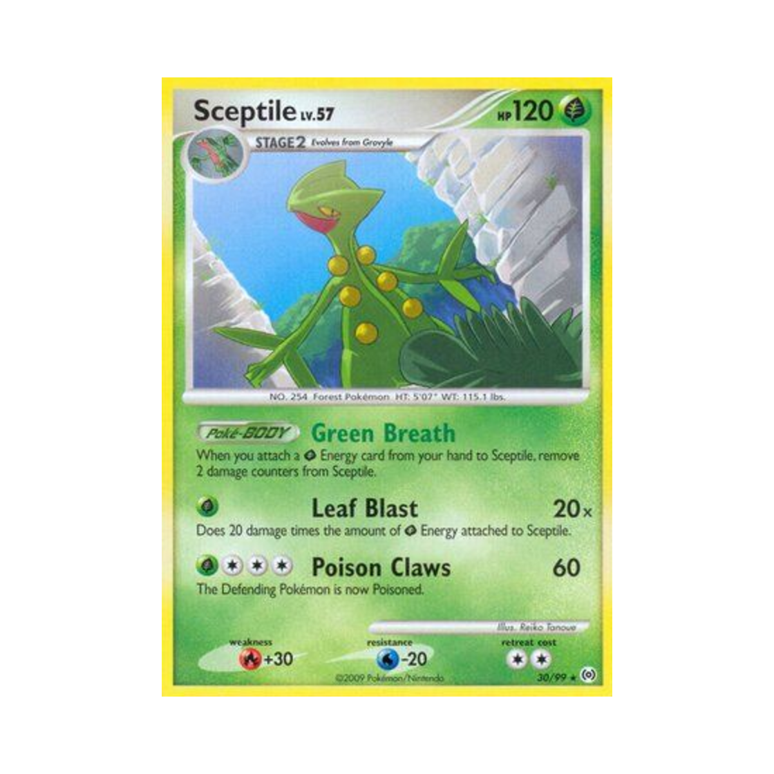 포켓몬 TCG 나무킹 R 아르세우스 (영문판)(Pokemon TCG Sceptile R Arceus (English Ver.)) - 1