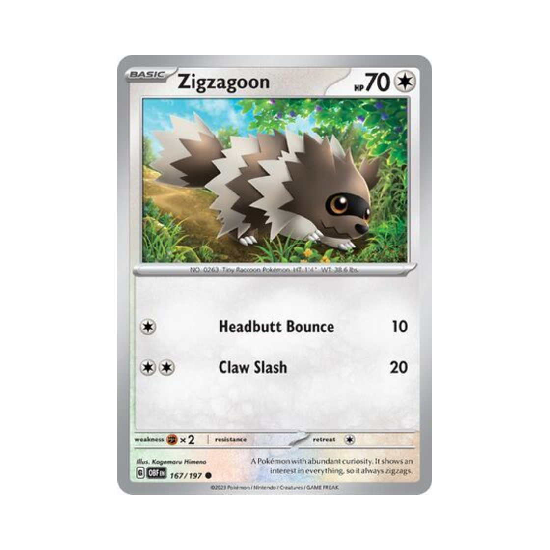 포켓몬 TCG 지그제구리 C 옵시디언 플레임즈 (영문판)(Pokemon TCG Zigzagoon C Obsidian Flames (English Ver.)) - 1