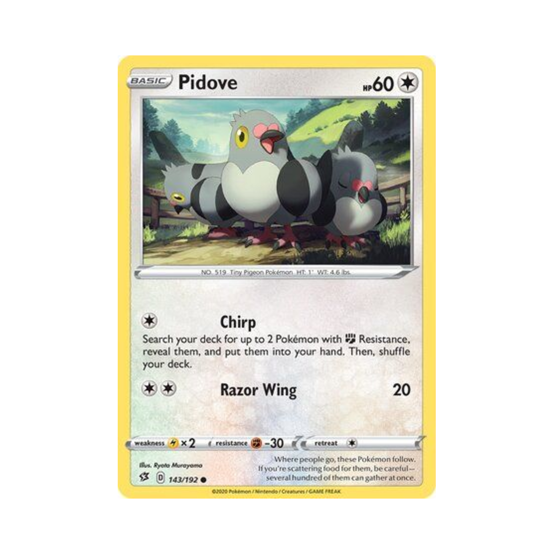 포켓몬 TCG 콩둘기 C 레벌 크래시 (영문판)(Pokemon TCG Pidove C Rebel Clash (English Ver.)) - 1
