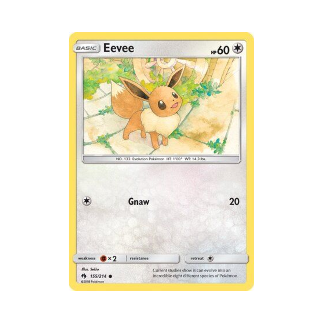 포켓몬 TCG 이브이 C 로스트 썬더 (영문판)(Pokemon TCG Eevee C Lost Thunder (English Ver.)) - 1