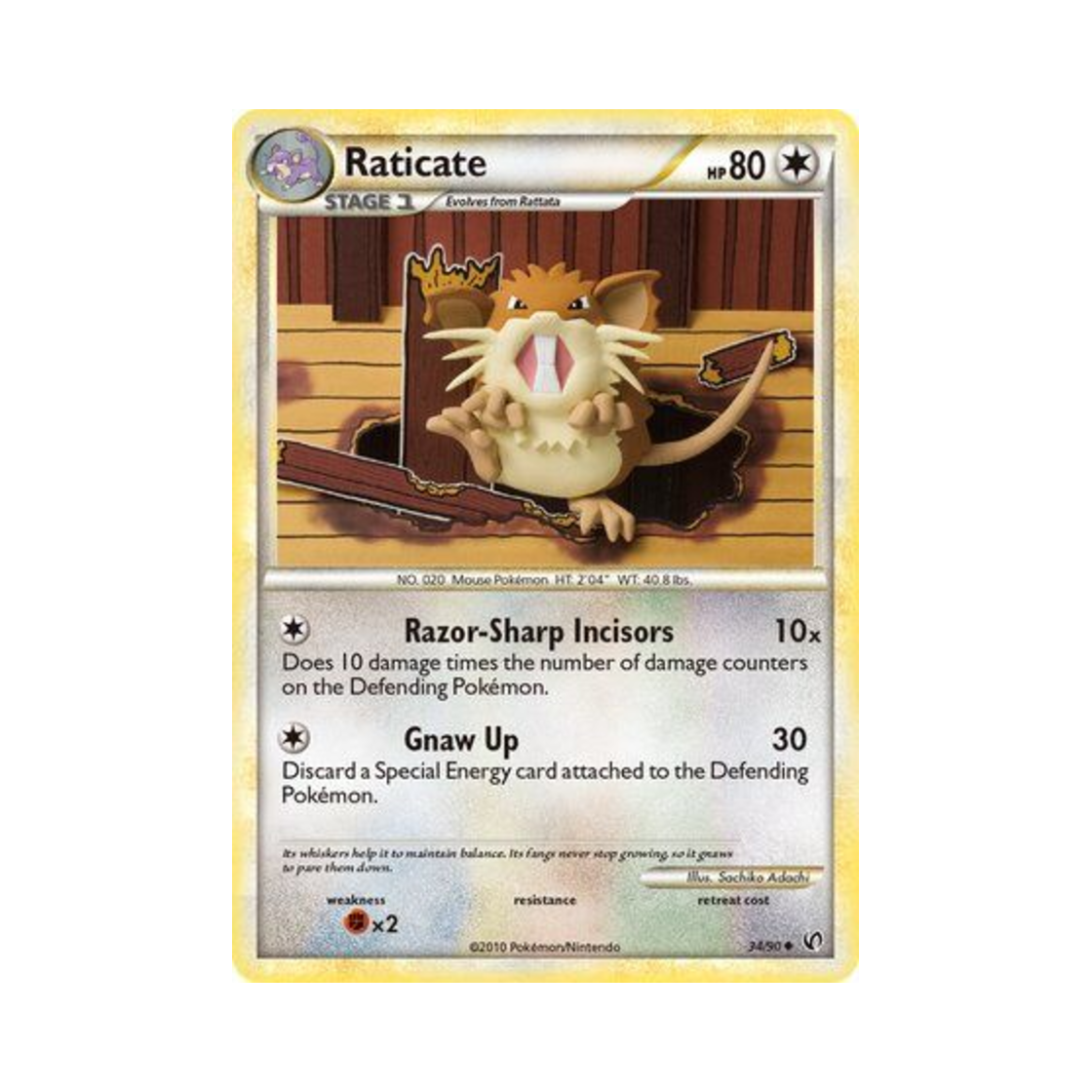 포켓몬 TCG 레트라 U 언던티드 (영문판)(Pokemon TCG Raticate U Undaunted (English Ver.))