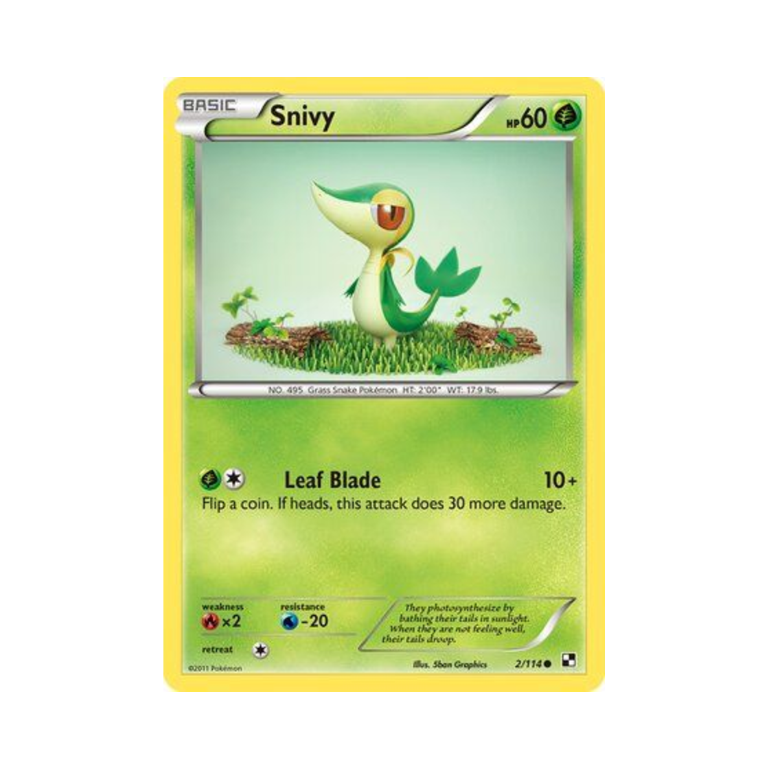 포켓몬 TCG 쥬리비안 C 블랙 & 화이트 (영문판)(Pokemon TCG Snivy C Black & White (English Ver.)) - 1