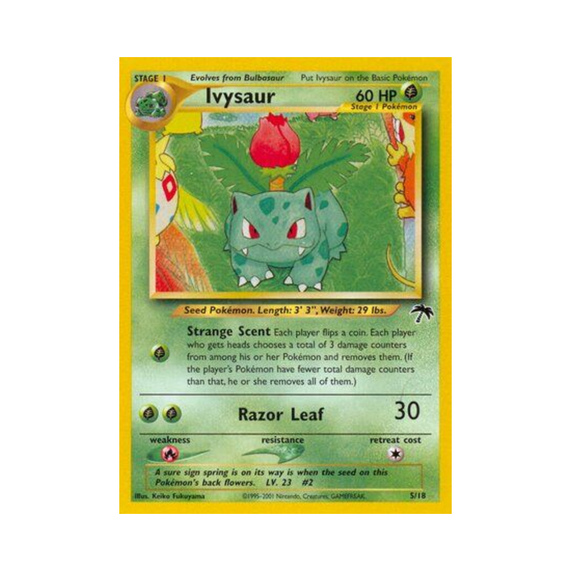 포켓몬 TCG 이상해풀 서던 아일랜드 (영문판)(Pokemon TCG Ivysaur Southern Islands (English Ver.)) - 1