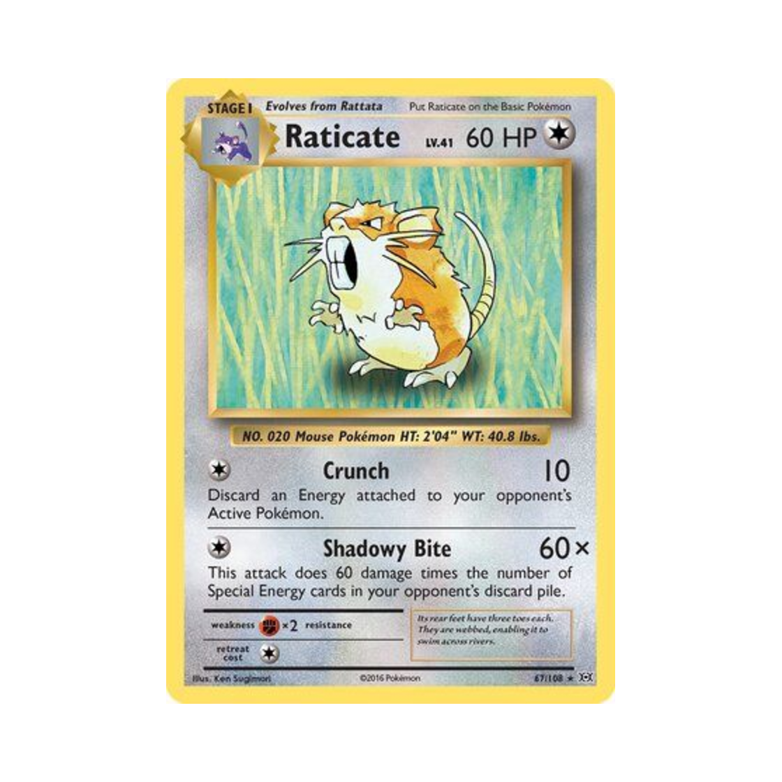 포켓몬 TCG 레트라 R 에볼루션즈 (영문판)(Pokemon TCG Raticate R Evolutions (English Ver.))