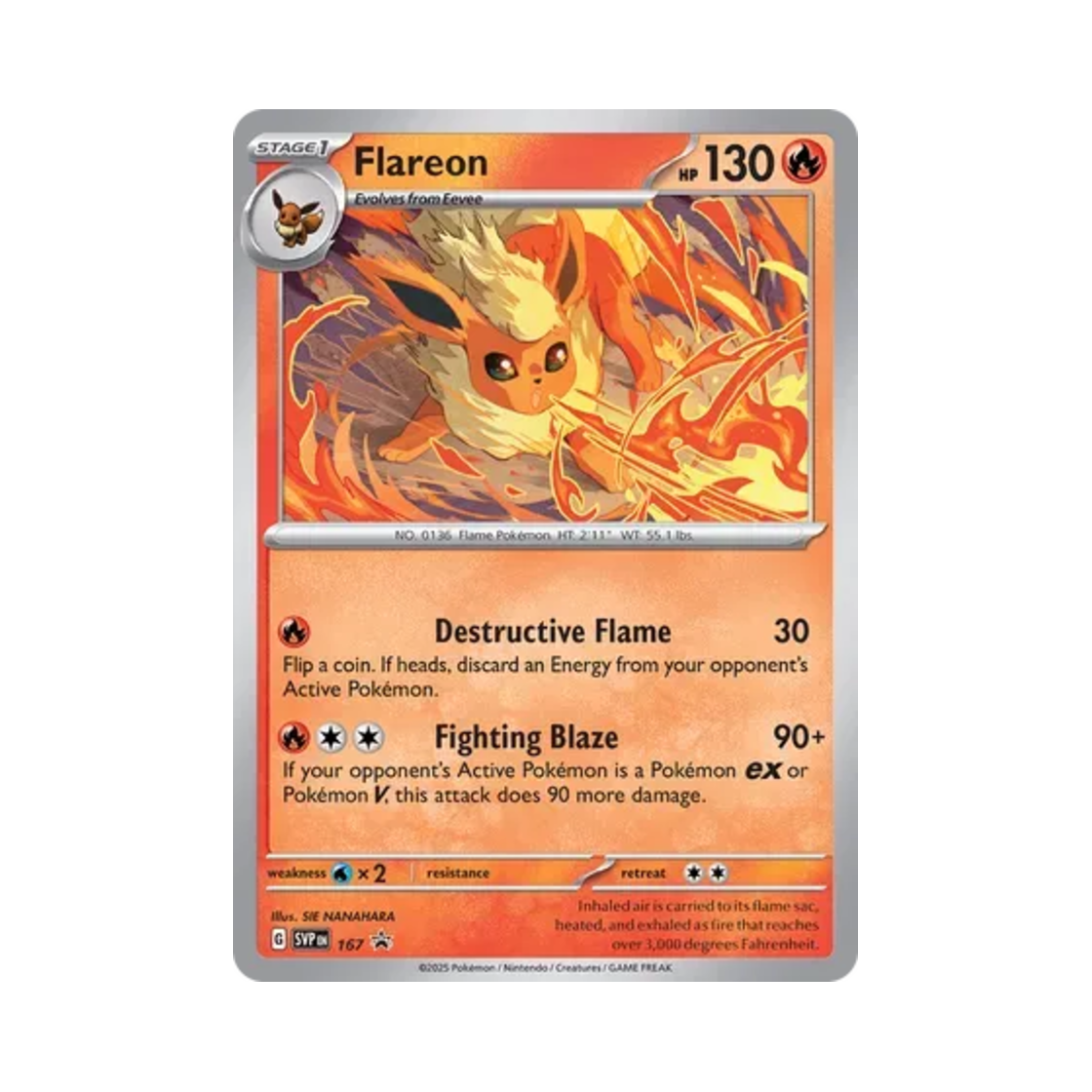 포켓몬 TCG 부스터 P 스칼렛 & 바이올렛 프로모 카드 (영문판)(Pokemon TCG Flareon P Scarlet & Violet Promos (English Ver.)) - 1