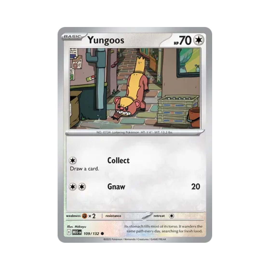 포켓몬 TCG 영구스 C 메가 에볼루션 (영문판)(Pokemon TCG Yungoos C Mega Evolution (English Ver.)) - 1