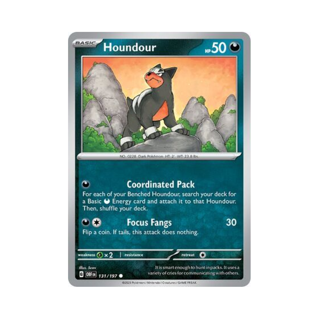 포켓몬 TCG 델빌 C 옵시디언 플레임즈 (영문판)(Pokemon TCG Houndour C Obsidian Flames (English Ver.)) - 1