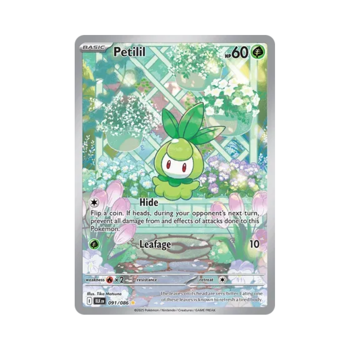 포켓몬 TCG 치릴리 IR 블랙볼트 (영문판)(Pokemon TCG Petilil IR Black Bolt (English Ver.)) - 1