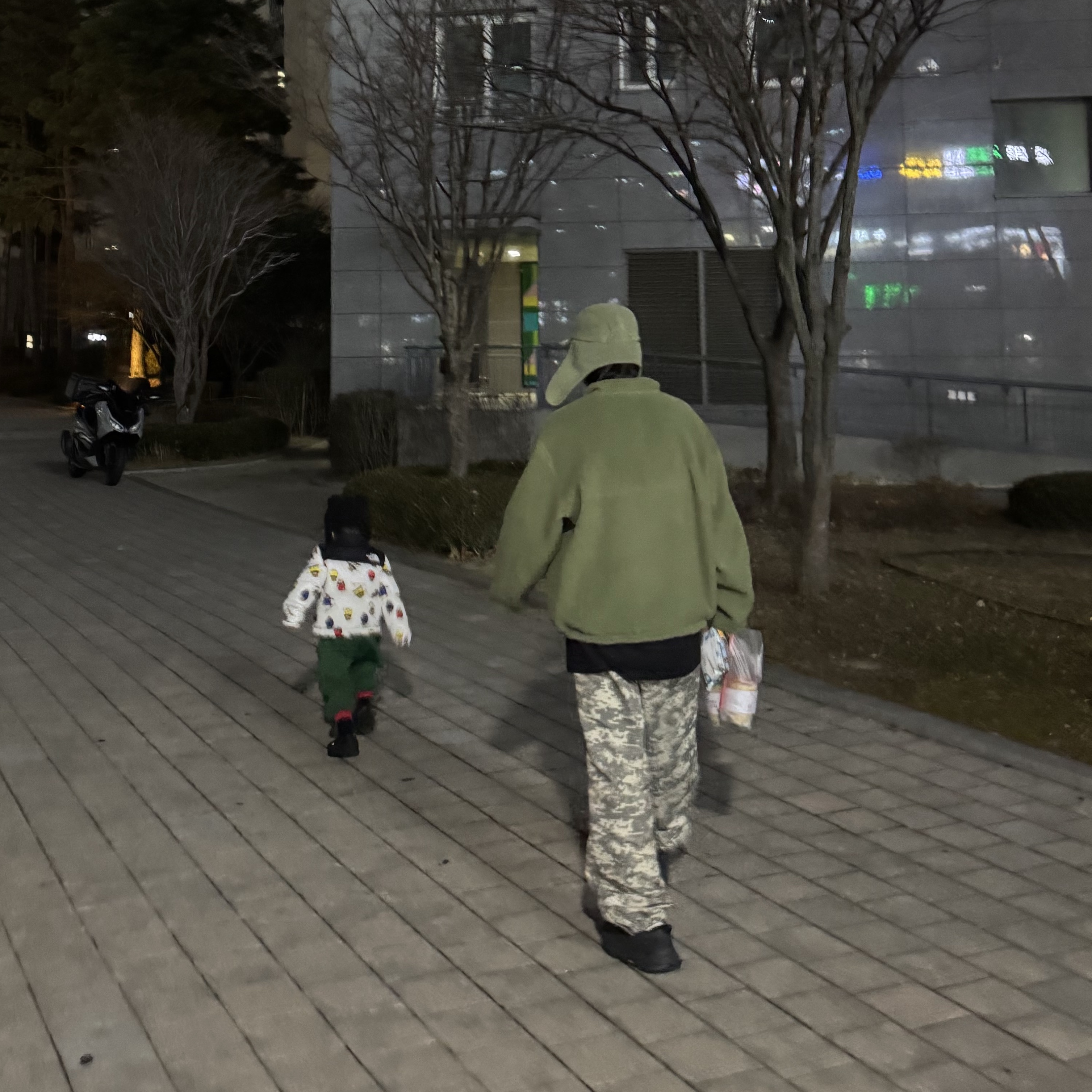 Stussy Training Pant Digi Camo, Supreme Polartec Shearling Reversible Pullover Olive - 25FW 착용 스타일 - 1