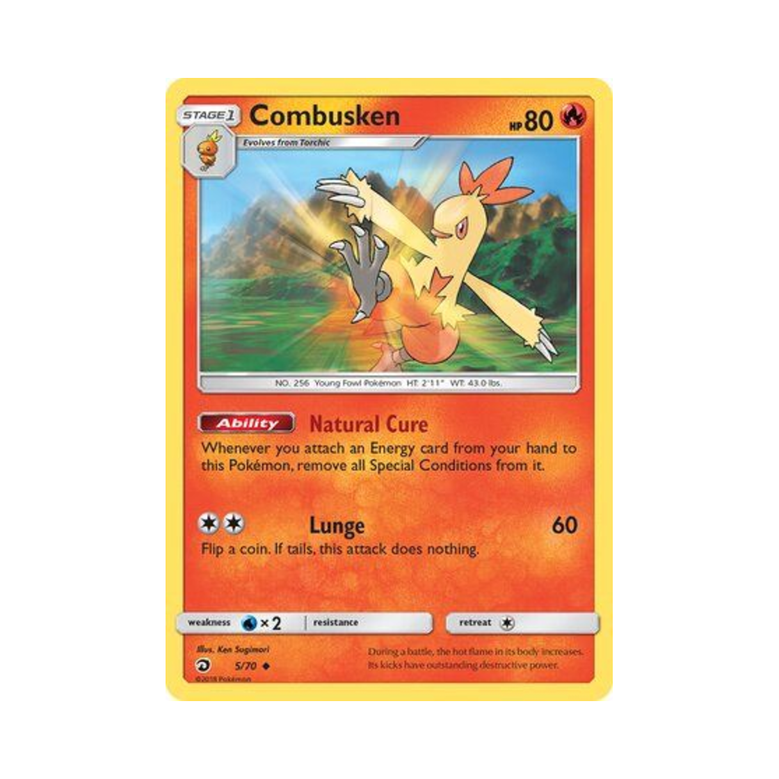 포켓몬 TCG 영치코 U 드래곤 마제스티 (영문판)(Pokemon TCG Combusken U Dragon Majesty (English Ver.)) - 1