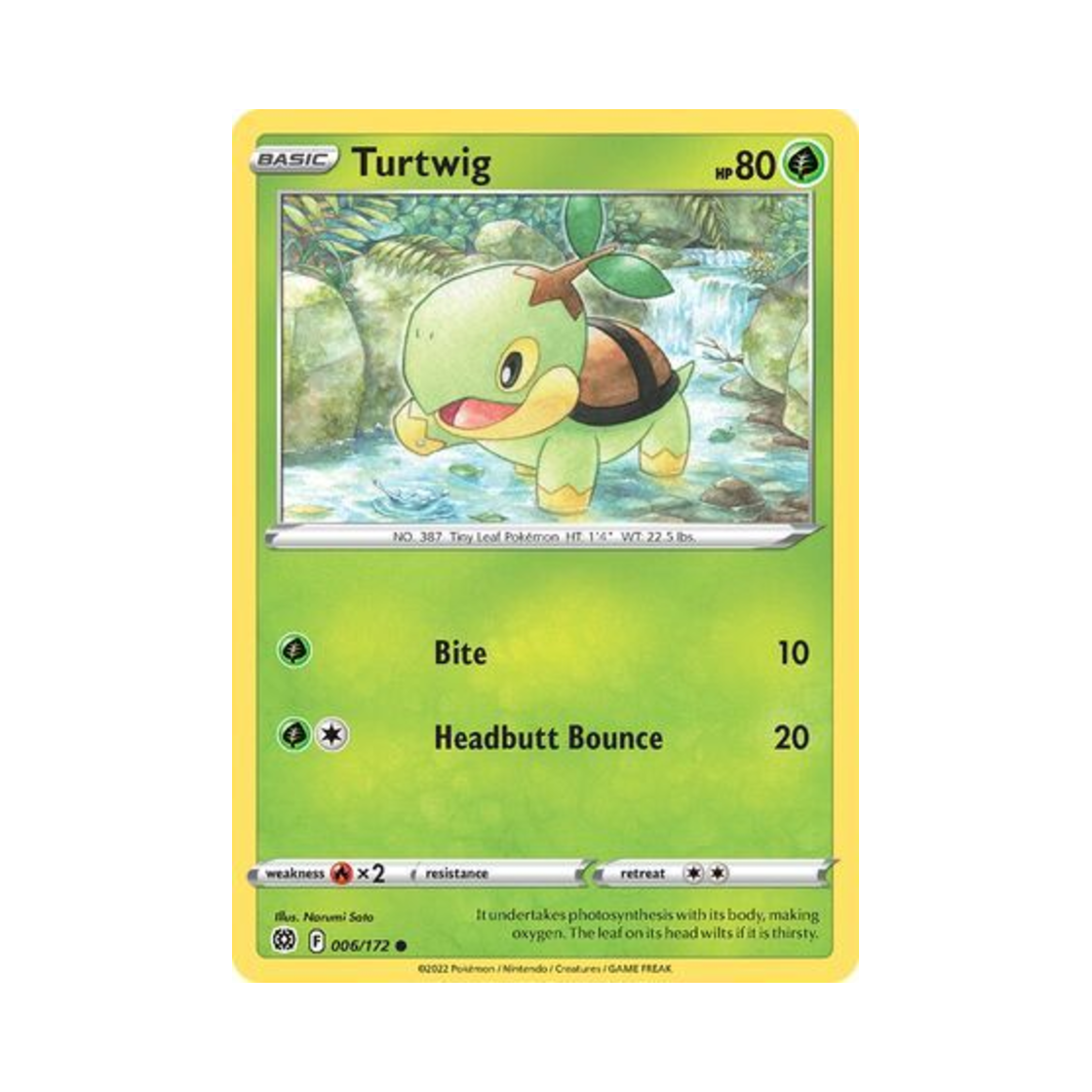 포켓몬 TCG 모부기 C 브릴리언트 스타즈 (영문판)(Pokemon TCG Turtwig C Brilliant Stars (English Ver.)) - 1
