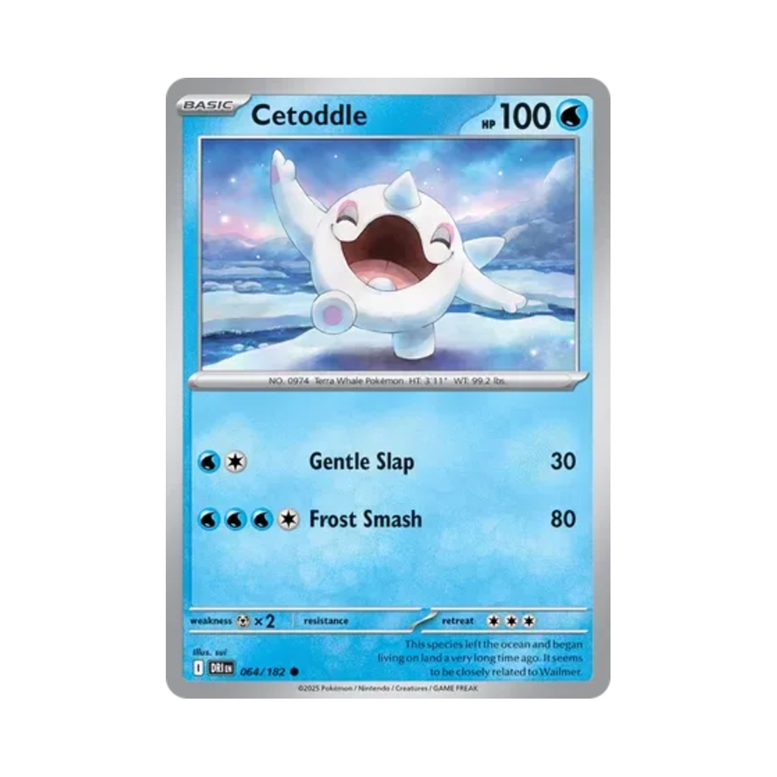 포켓몬 TCG 터벅고래 C 데스티니드 라이벌스 (영문판)(Pokemon TCG Cetoddle C Destined Rivals (English Ver.)) - 1