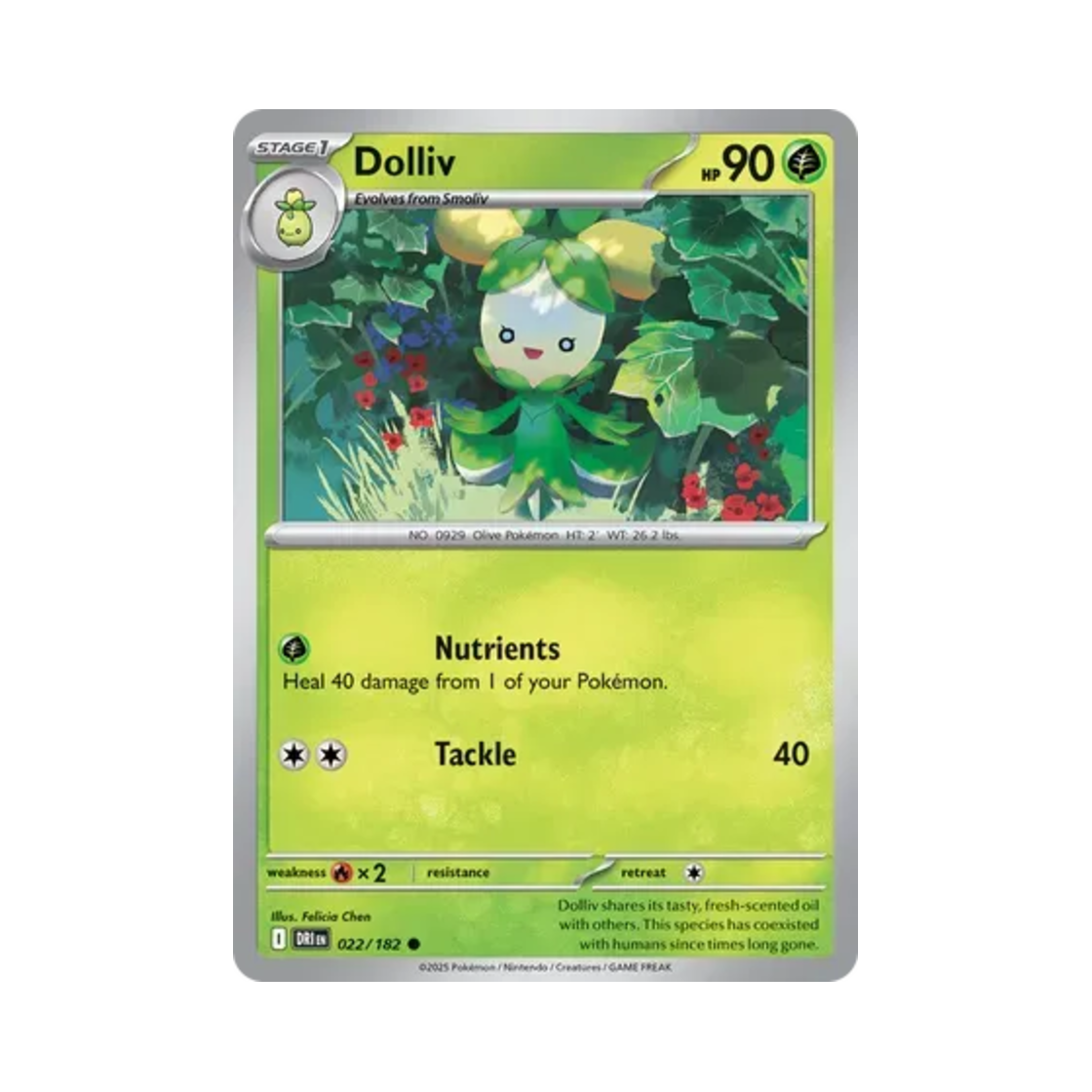 포켓몬 TCG 올리뇨 C 데스티니드 라이벌스 (영문판)(Pokemon TCG Dolliv C Destined Rivals (English Ver.)) - 1