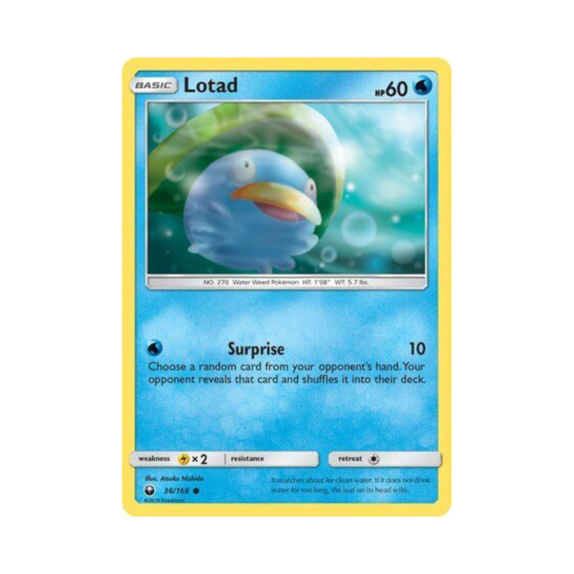포켓몬 TCG 연꽃몬 C 셀레스티얼 스톰 (영문판)(Pokemon TCG Lotad C Celestial Storm (English Ver.)) - 1