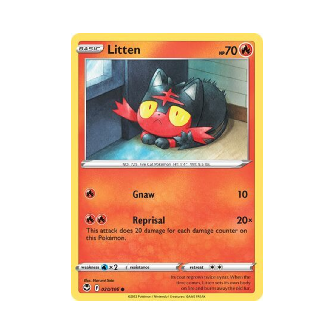 포켓몬 TCG 냐오불 C 실버 템페스트 (영문판)(Pokemon TCG Litten C Silver Tempest (English Ver.))
