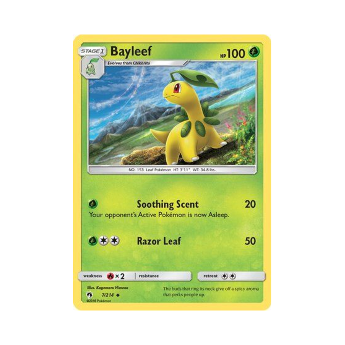 포켓몬 TCG 베이리프 U 로스트 썬더 (영문판)(Pokemon TCG Bayleef U Lost Thunder (English Ver.)) - 1