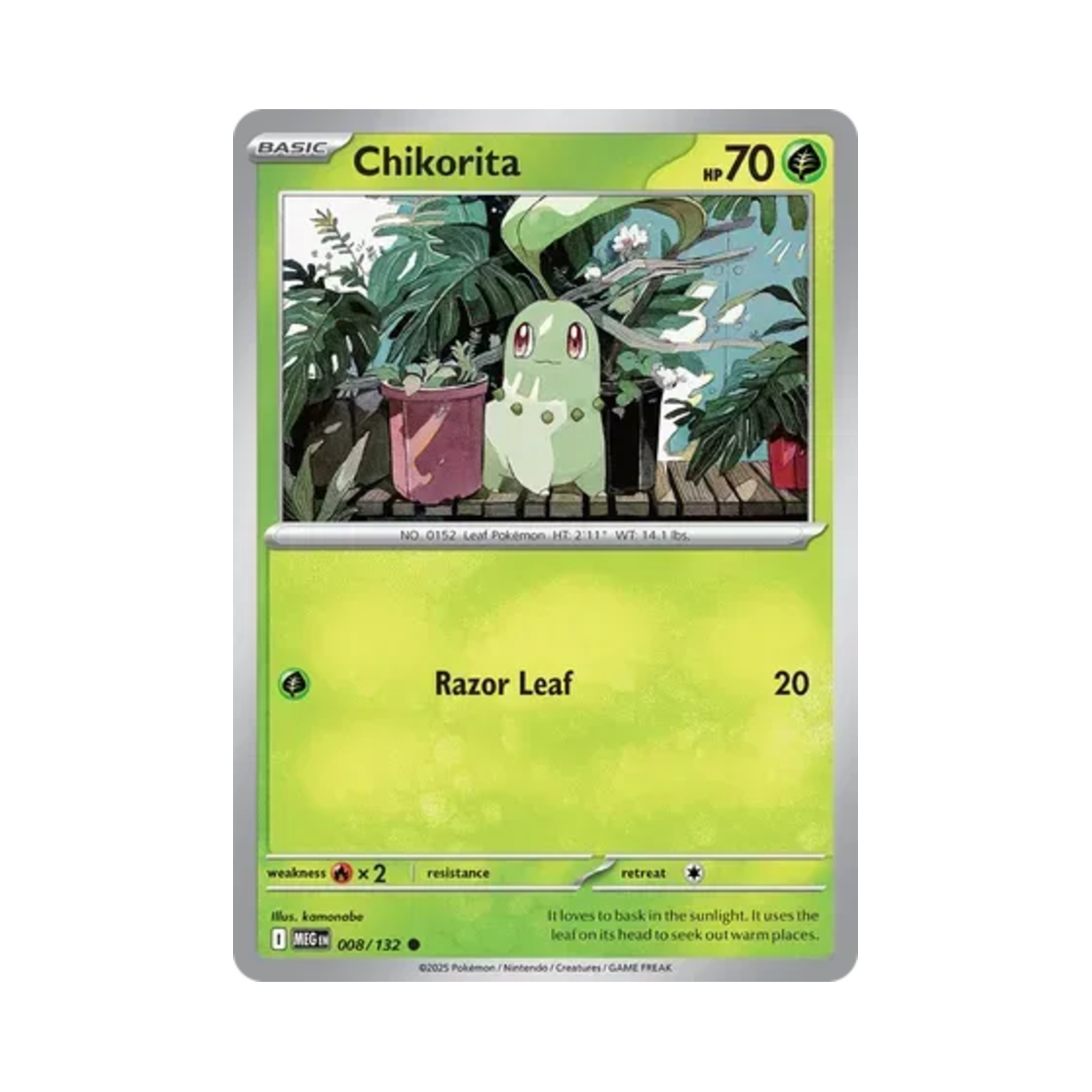 포켓몬 TCG 치코리타 C 메가 에볼루션 (영문판)(Pokemon TCG Chikorita C Mega Evolution (English Ver.)) - 1