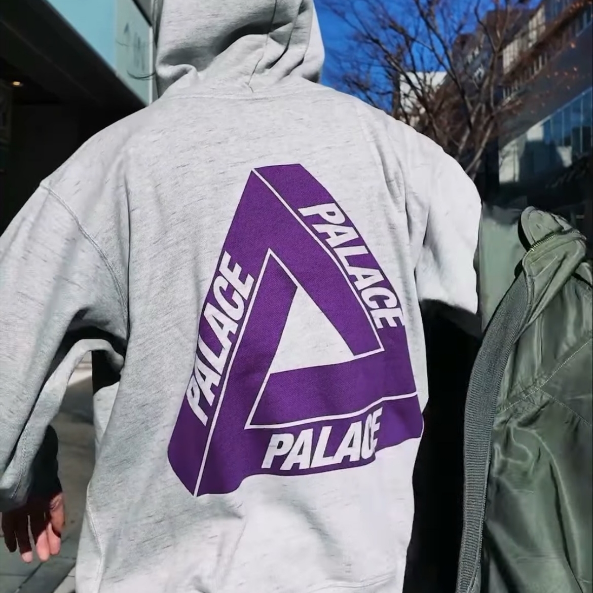 Palace x The North Face Purple Label Field Graphic Hood Mix Gray - 25FW 착용 스타일