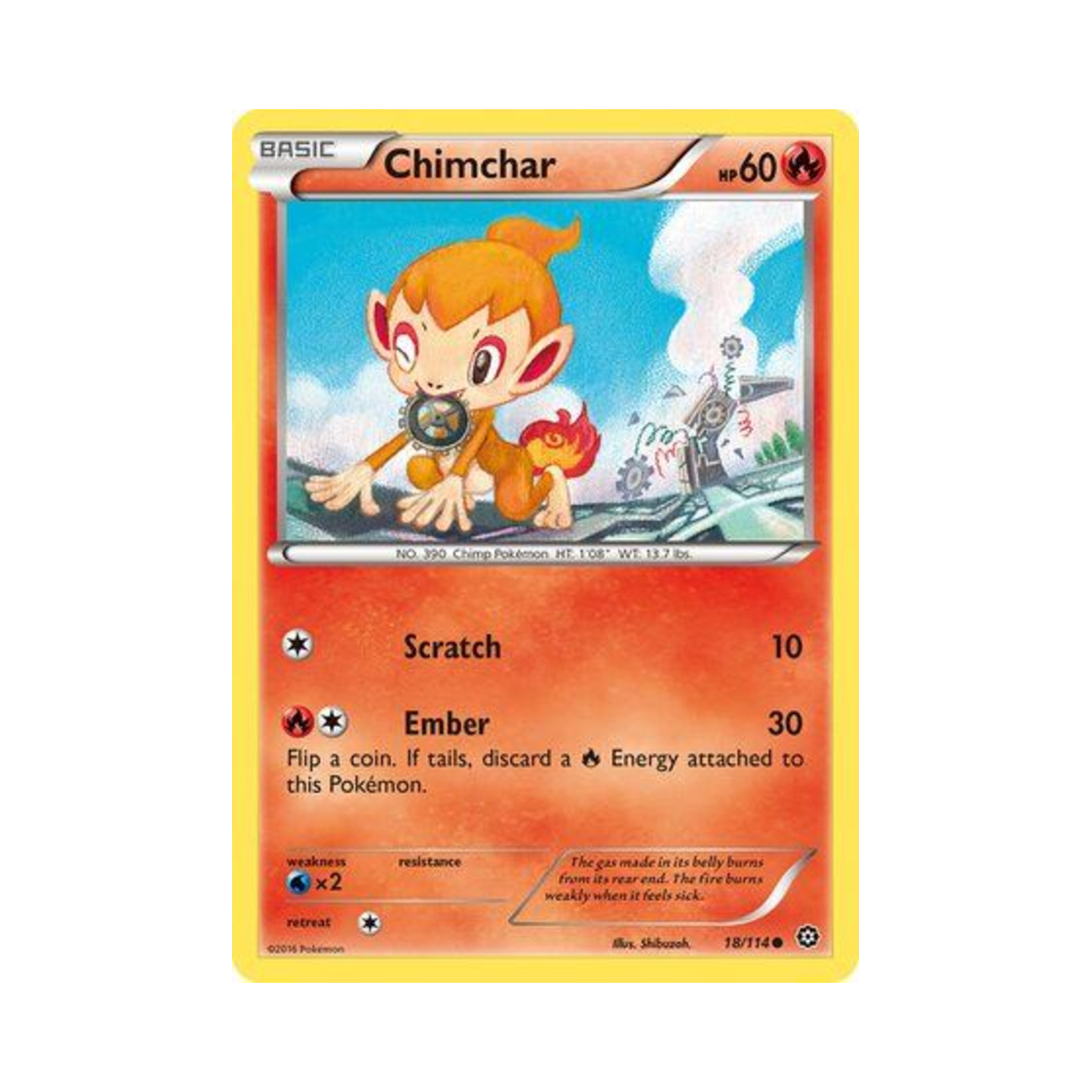 포켓몬 TCG 불꽃숭이 C 스팀 시즈 (영문판)(Pokemon TCG Chimchar C Steam Siege (English Ver.))