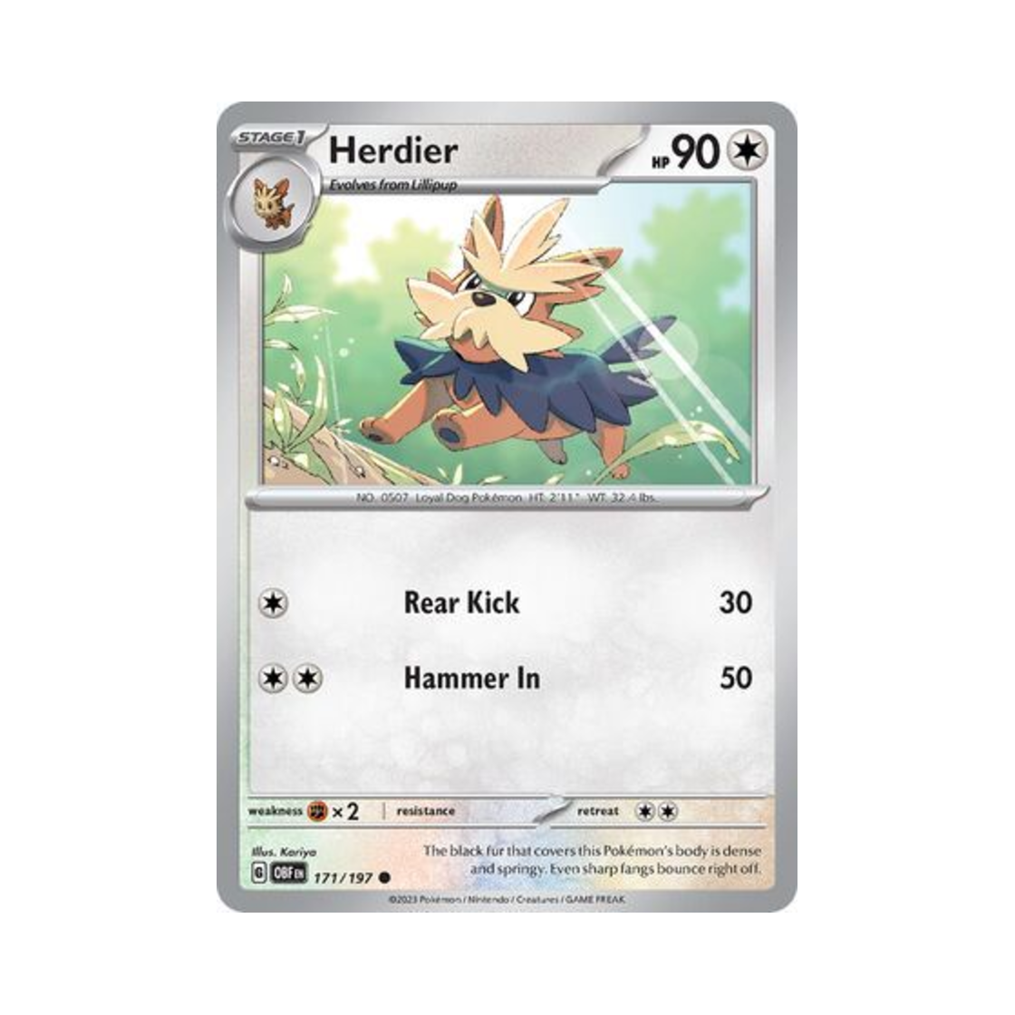 포켓몬 TCG 하데리어 C 옵시디언 플레임즈 (영문판)(Pokemon TCG Herdier C Obsidian Flames (English Ver.)) - 1