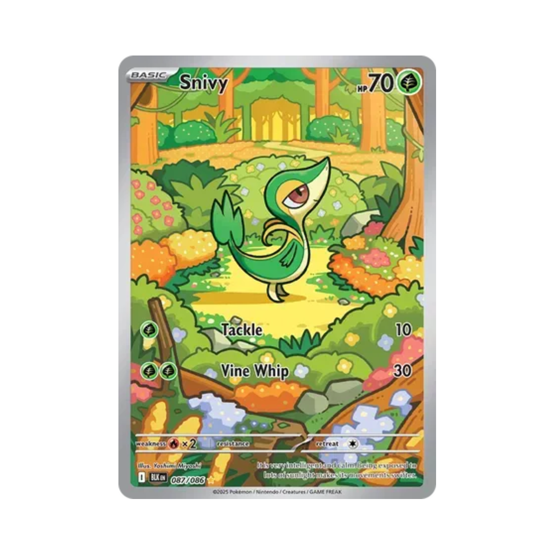 포켓몬 TCG 쥬리비안 IR 블랙볼트 (영문판)(Pokemon TCG Snivy IR Black Bolt (English Ver.)) - 1