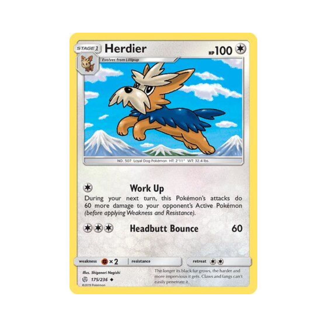 포켓몬 TCG 하데리어 U 코스믹 이클립스 (영문판)(Pokemon TCG Herdier U Cosmic Eclipse (English Ver.)) - 1