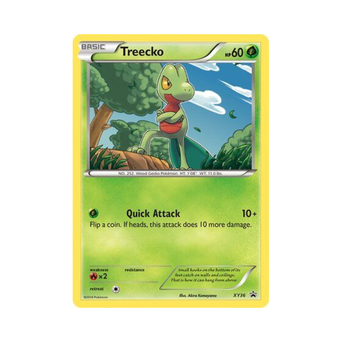 포켓몬 TCG 나무지기 P XY 프로모 카드 (영문판)(Pokemon TCG Treecko P XY Promos (English Ver.)) - 1