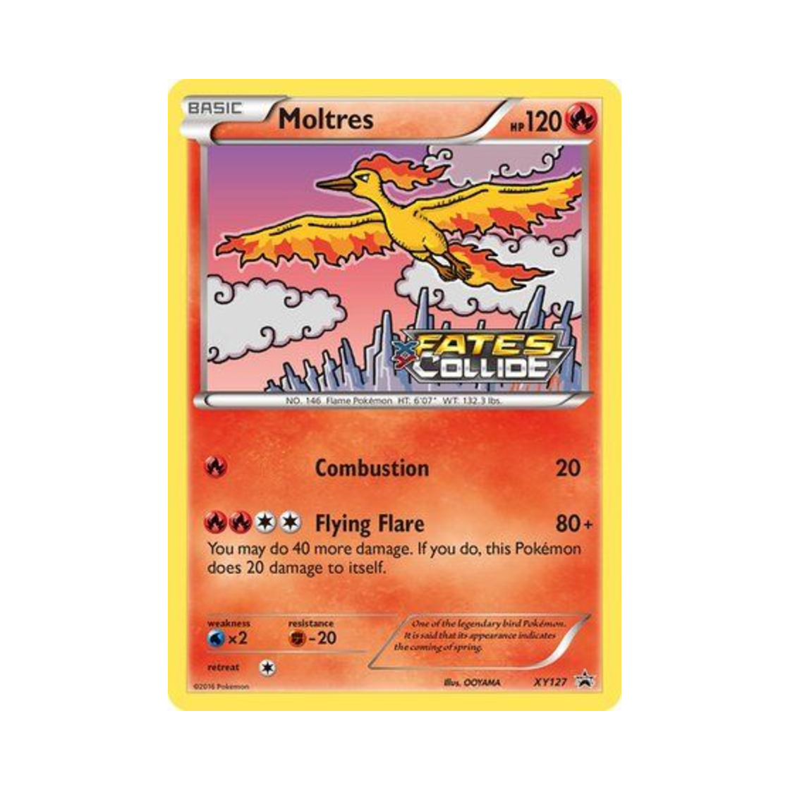 포켓몬 TCG 파이어 P XY 프로모 카드 (영문판)(Pokemon TCG Moltres P XY Promos (English Ver.)) - 1