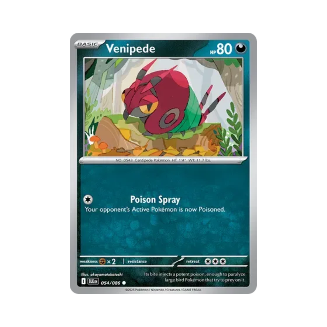 포켓몬 TCG 마디네 C 블랙볼트 (영문판)(Pokemon TCG Venipede C Black Bolt (English Ver.)) - 1
