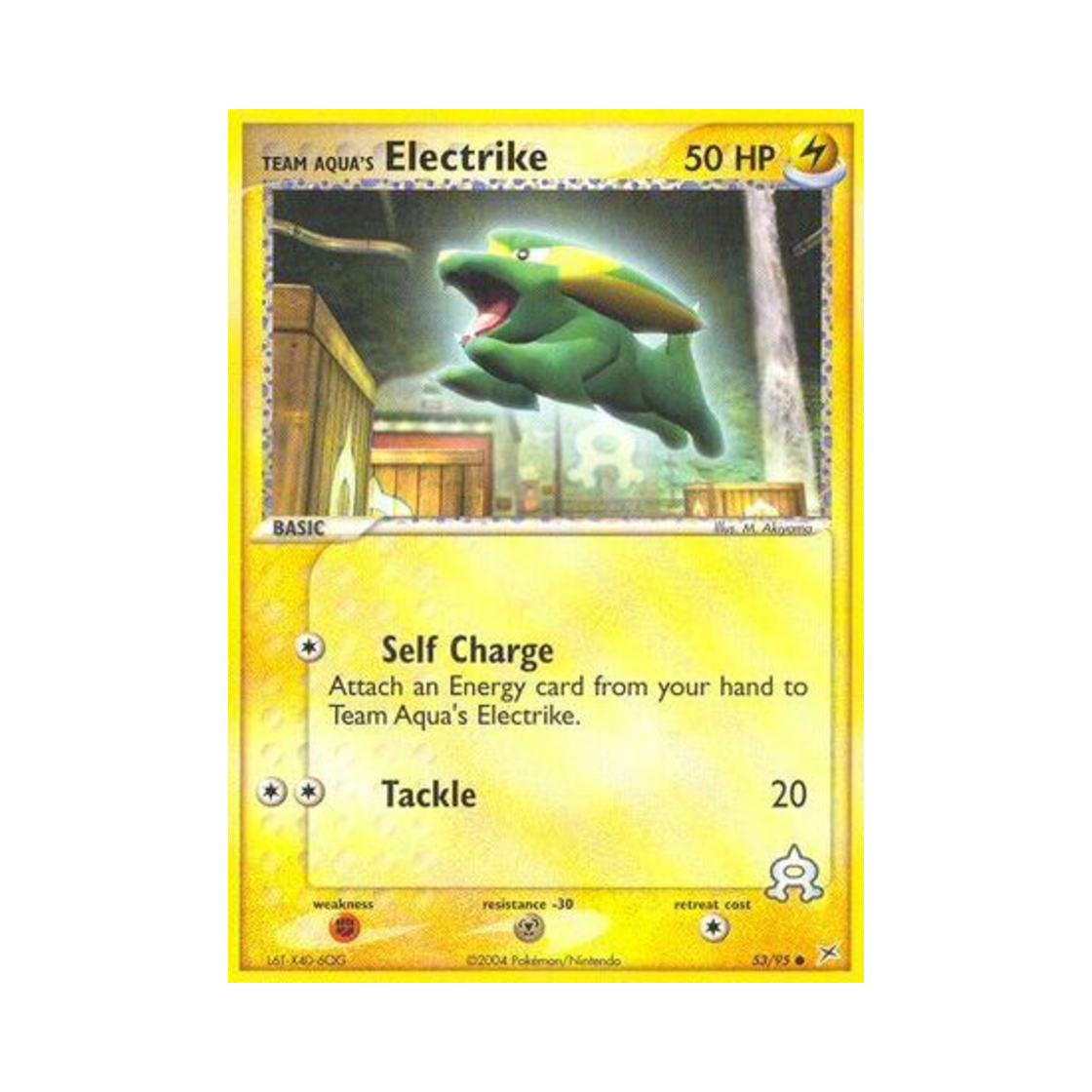 포켓몬 TCG 아쿠아단의 썬더라이 C EX 마그마단 vs 아쿠아단 (영문판)(Pokemon TCG Team Aqua's Electrike C EX Team Magma vs Team Aqua (English Ver.)) - 1