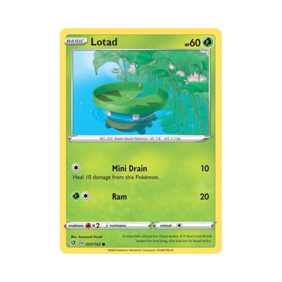포켓몬 TCG 연꽃몬 C 레벌 크래시 (영문판)(Pokemon TCG Lotad C Rebel Clash (English Ver.)) - 1