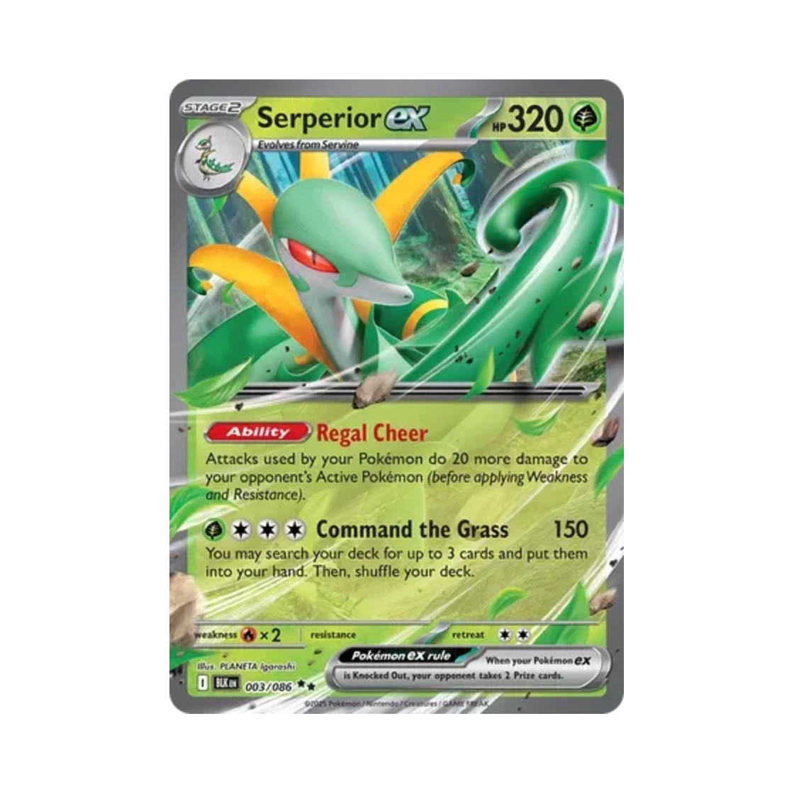 포켓몬 TCG 샤로다 ex DR 블랙볼트 (영문판)(Pokemon TCG Serperior ex DR Black Bolt (English Ver.)) - 1