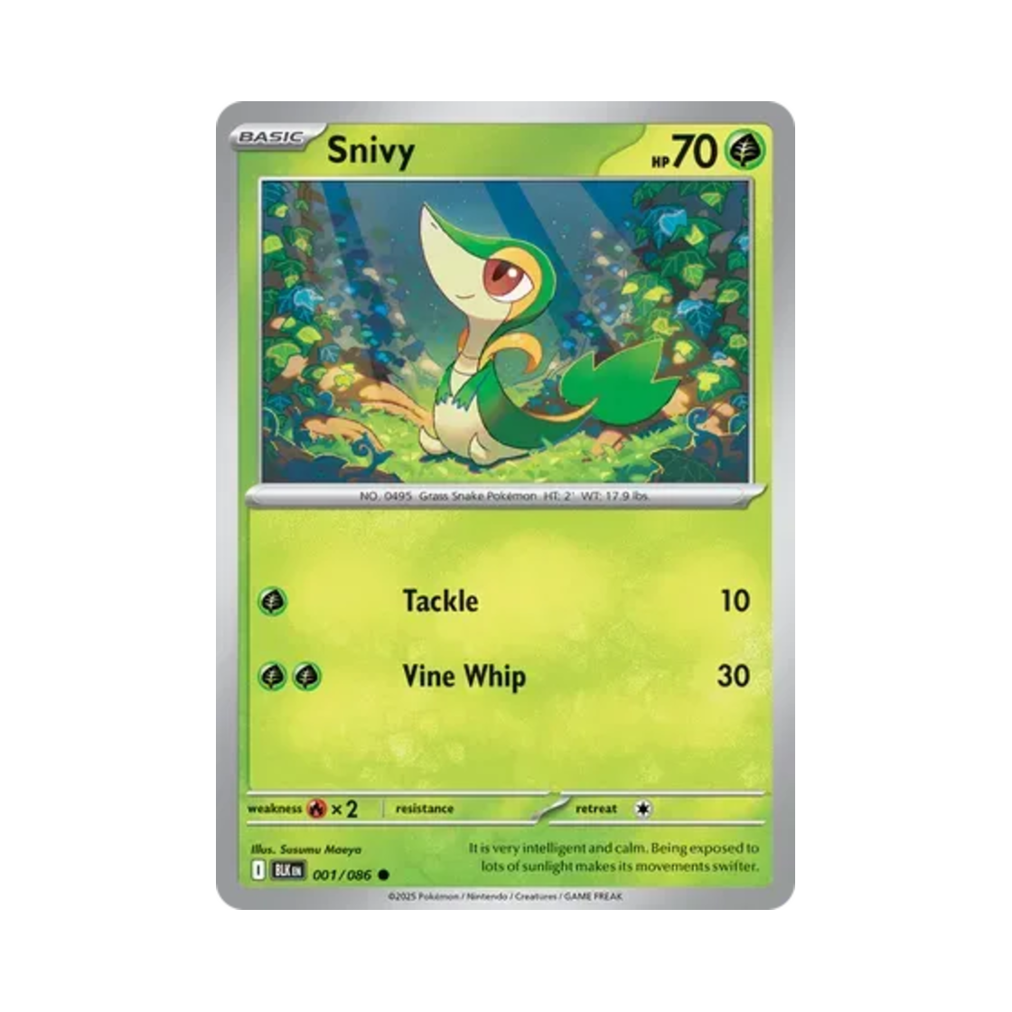 포켓몬 TCG 쥬리비안 C 블랙볼트 (영문판)(Pokemon TCG Snivy C Black Bolt (English Ver.)) - 1